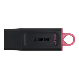 Kingston Exodia 256GB USB 3.2 Pen Drive