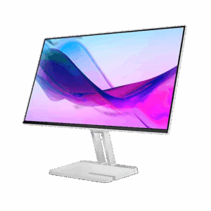 Lenovo L24i-4A – 23.8” FHD IPS 100Hz Monitor